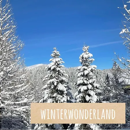 Winkl Huettn 펜션 *